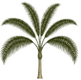 Jungle Retreat